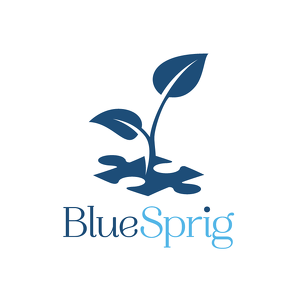 Fundraising Page: BlueSprig